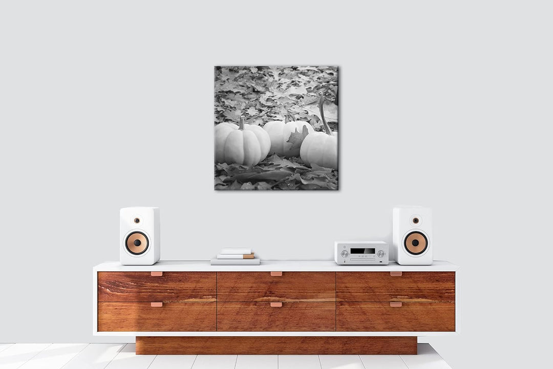 deyoli Herbstliche Kürbise Effekt: Schwarz&Weiss Format: 70x70 als Leinwandbild, Motiv fertig gerahm