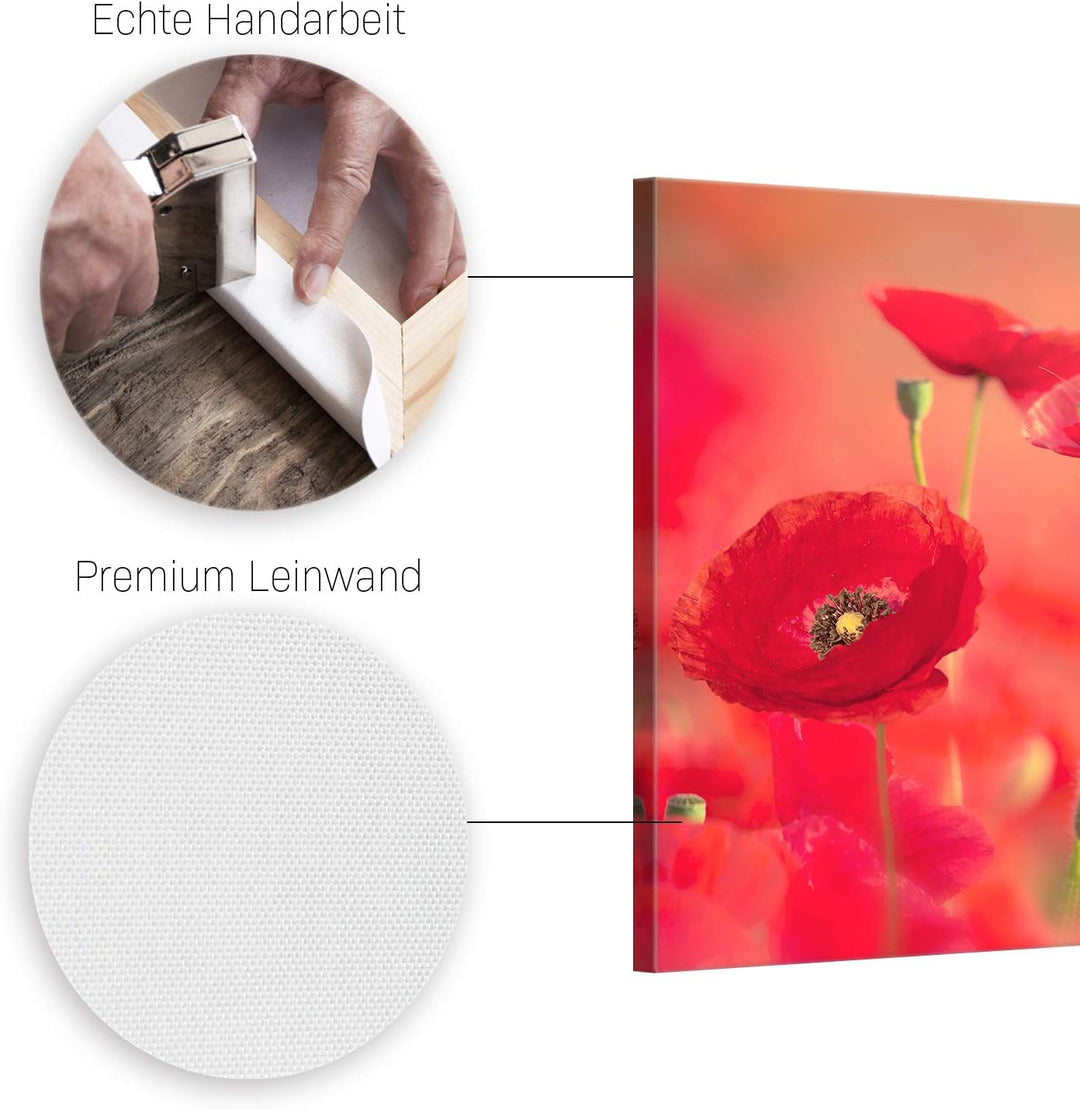 ge Bildet Bild auf Leinwand | roter Mohn in 70x50 cm als Wandbild | Wand-deko Dekoration Wohnung mod