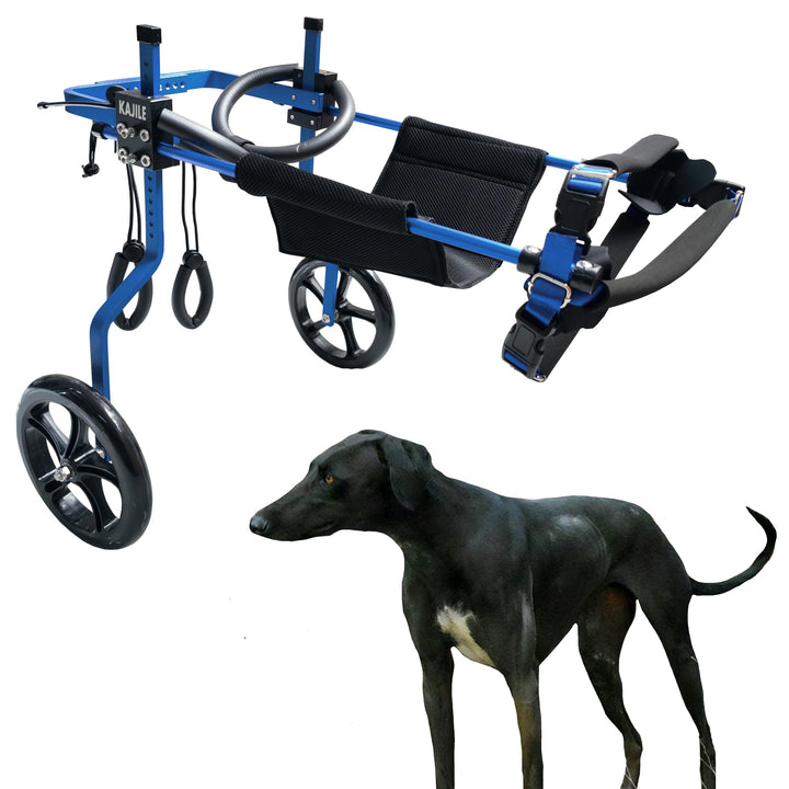 KAJILE Verstellbarer 2-Rad-Hunderollstuhl, XL-1 Grösse für behinderte Hund Hinterbeine Rehabilitatio