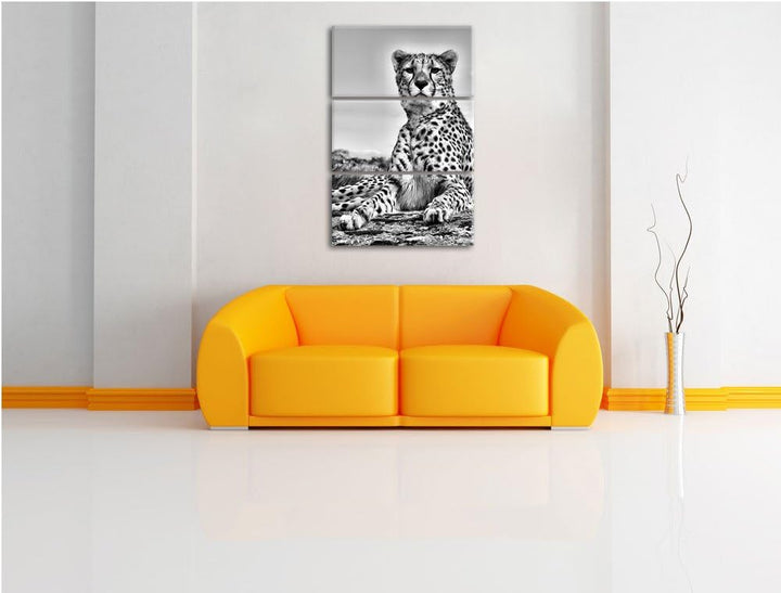 Pixxprint Monocrome, Gepard in Savanne 3-Teiler Leinwandbild 120x80 Bild auf Leinwand
