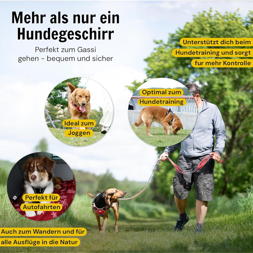 Hundefreund Hundegeschirr für Kleine Hunde – Reflektierend, Gepolstert &amp; Verstellbar – Anti-Zug Gesc