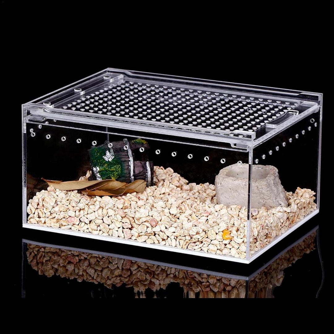 Durchsichtige Reptilienaufzuchtbox, Acryl Reptilienfutterbox, Futterbox Für Insekten Reptilien Vogel