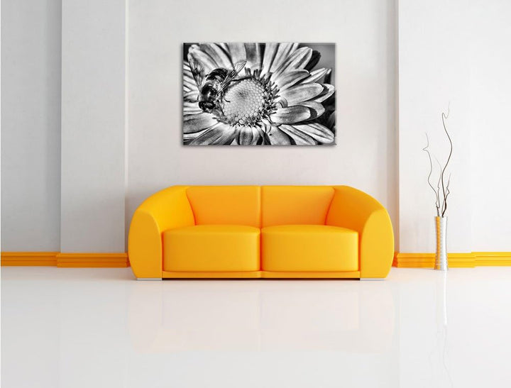 Pixxprint Biene auf Margarete / 100x70cm Leinwandbild bespannt auf Holzrahmen/Wandbild Kunstdruck De