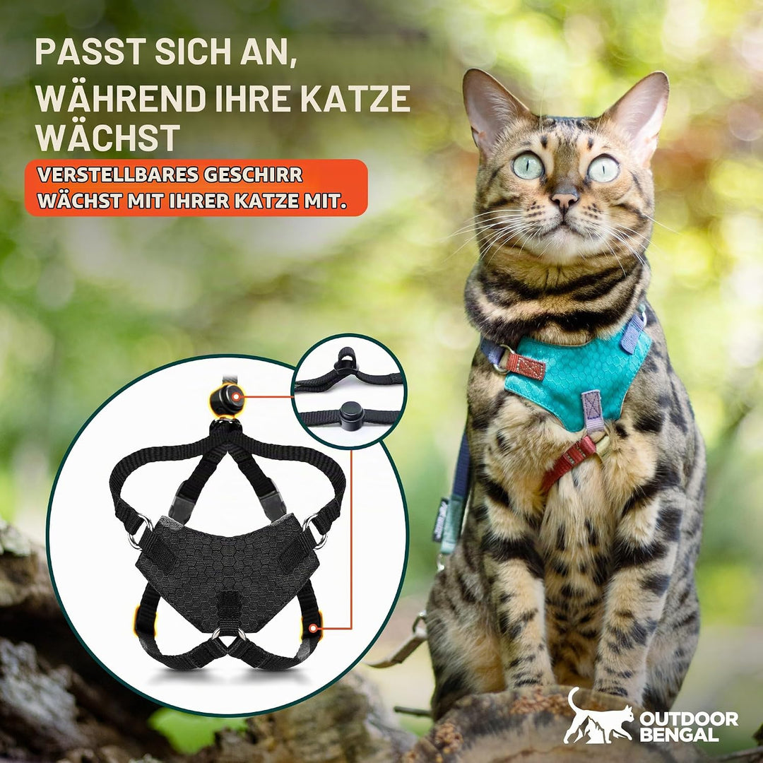 OutdoorBengal Katzengeschirr und Leine, gross, ausbruchsicher, erstickungsfrei, leicht, einfach anzu