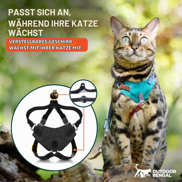 OutdoorBengal Katzengeschirr und Leine, gross, ausbruchsicher, erstickungsfrei, leicht, einfach anzu