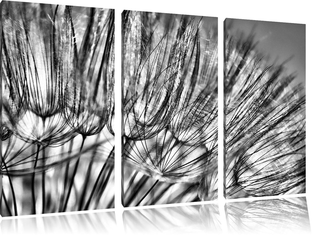 Pixxprint Pusteblumen als Leinwandbild/Grösse: 3 Teilig (120x80) cm/Wandbild/Kunstdruck/fertig bespa