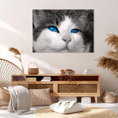 Bilder auf Leinwand 100x70cm Leinwandbild Katze Tiere blaue Augen Gross Wanddeko Bild Schlafzimmer K