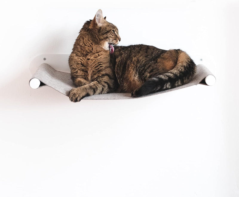 LucyBalu® Katzenhängematte mit natürlichem Filz | Hängematte für Katzen als Katzenbett an der Wand I
