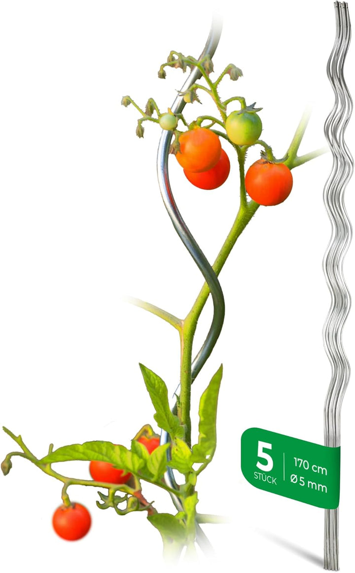 Novatool 5 Stück Tomatenstäbe 170 cm x 5 mm Ø Tomatenspiralstäbe verzinkt Rankstäbe Tomatenstangen 1