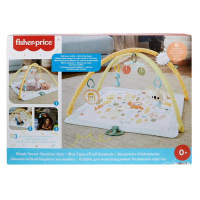 Fisher-Price Simply Senses Sensorische Erlebnisdecke - mit Plüsch-Koala, Spiegel, Rassel, Beissring