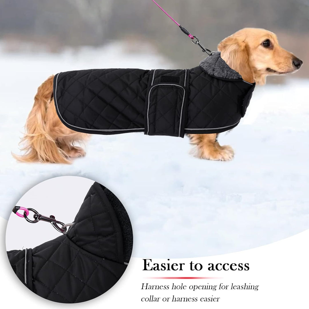 Geyecete - Warmer wintermantel für dackel Hunde,Hunde Winterjacken mit plüschfutter,Outdoor jacken m