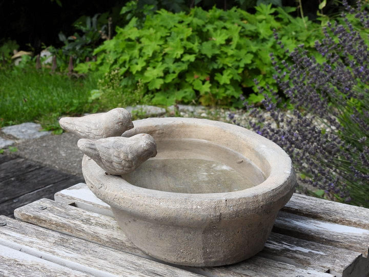 Vogeltränke Oval ⌀ ca. 30 cm max., Vogelbad oder Futterstelle für Vögel, Bienen, Hummeln etc.