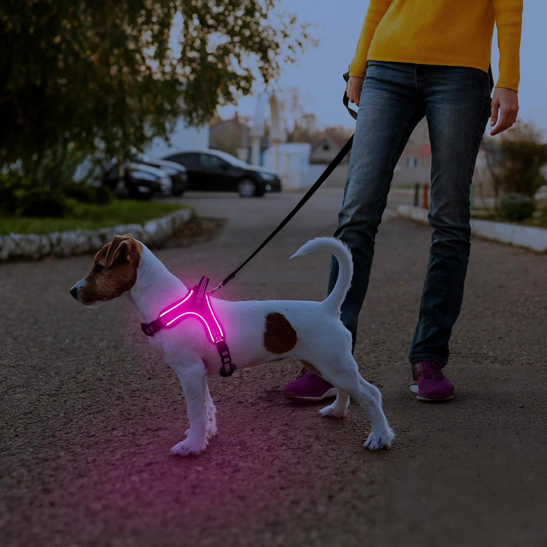 Light Up Light Hundegeschirr Leuchtend Aufladbar, LED Hundegeschirr Mit Griff, Reflektierende Brustg