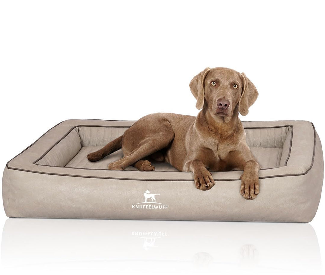 Knuffelwuff Orthopädisches Hundebett aus Laser gestepptem Kunstleder Montego M-L 85 x 65cm Grau, M-L