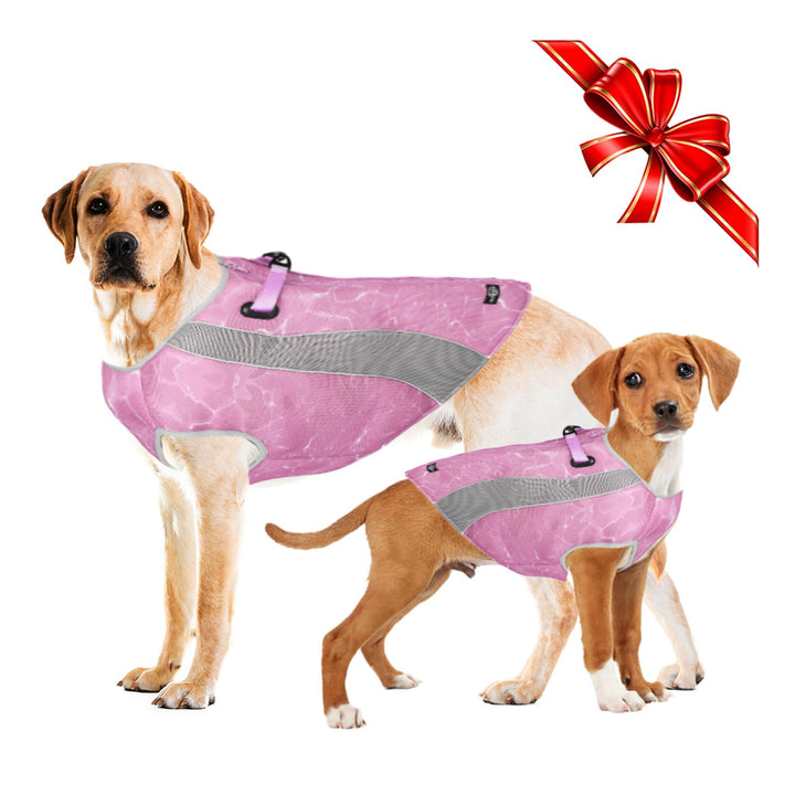 Doppelfunktion Hundemantel Winter Hundejacke & Sommer Hund Kühlweste mit Geschirr D-Schnalle, kaltes