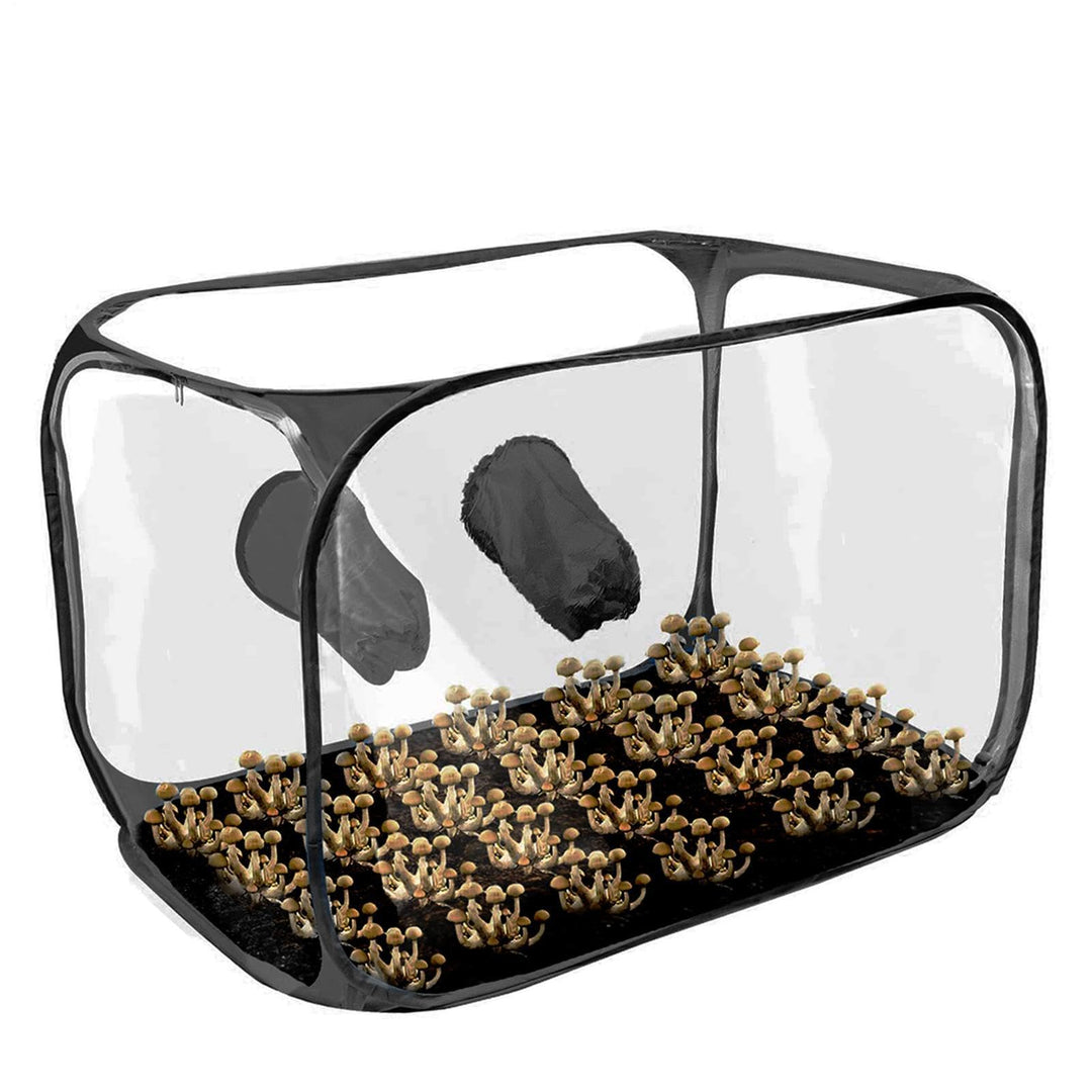 Pilzzuchtzelt Aufklappbares faltbares belüftetes Anbauhaus | 76 x 43 x 44,5 cm Pilzbox Geeignet Für