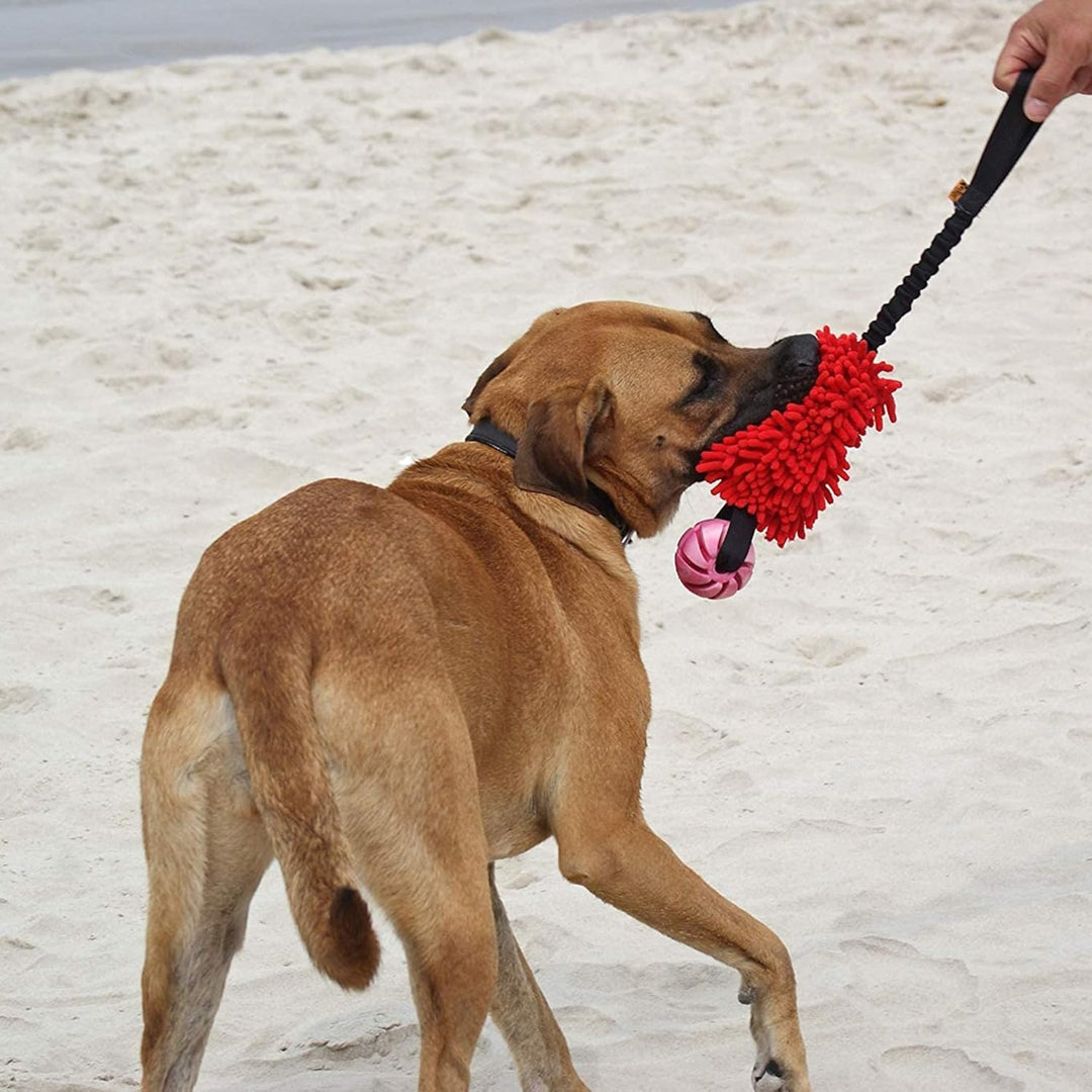 Dingo Mop Bungee Rot mit Vanille Duft Ball Hundespielzeug Agility Apporte 15588 Rot mit Bäll, Rot mi