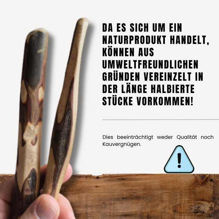 PetLove Kauholz für Hunde aus Olivenholz • Holzknochen als Hundespielzeug • Kauknochen als Zahnpfleg