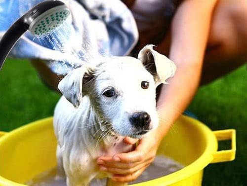 Semptec Urban Survival Technology Campingdusche: Akku-Camping-Dusche mit Tauchpumpe, Saugnapf, Haken