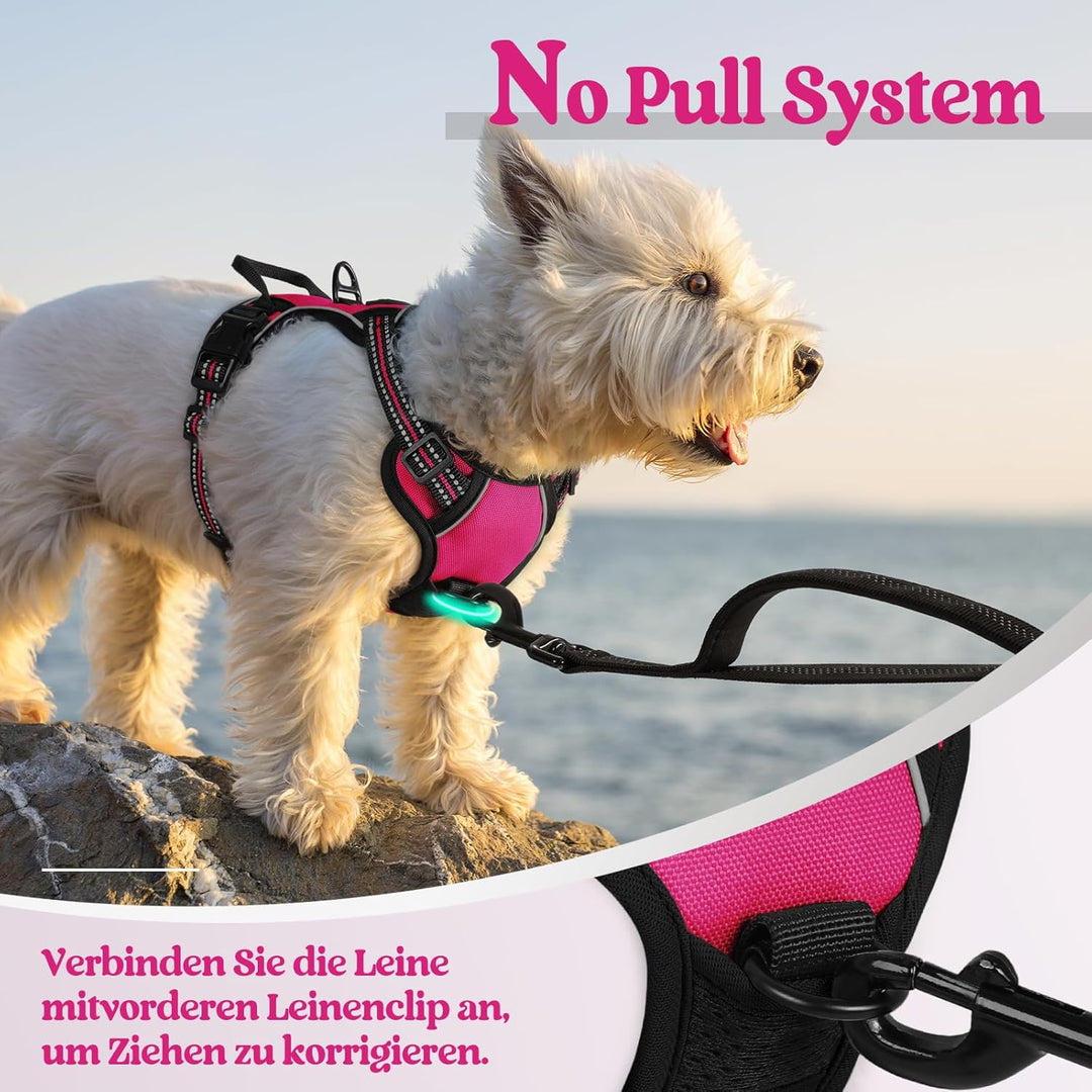 rabbitgoo Hundegeschirr Kleine Hunde, Anti Zug Geschirr mit Kontrolle, No Pull Verstellbar Hundegesc