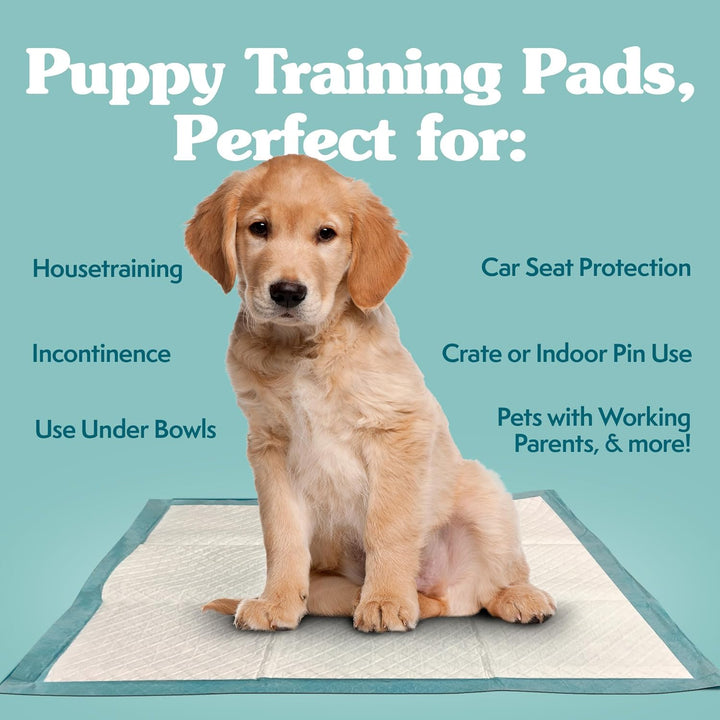 simple solution Einfache Lösung Extra grosse Hunde Training Pads, 28 x 30, 50 CT (Verpackung kann va
