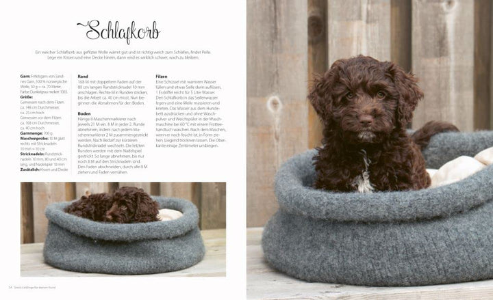 Strickbuch Hund – Strick-Lieblinge für deinen Hund: Kleidung, Accessoires und Spielzeug für fröhlich