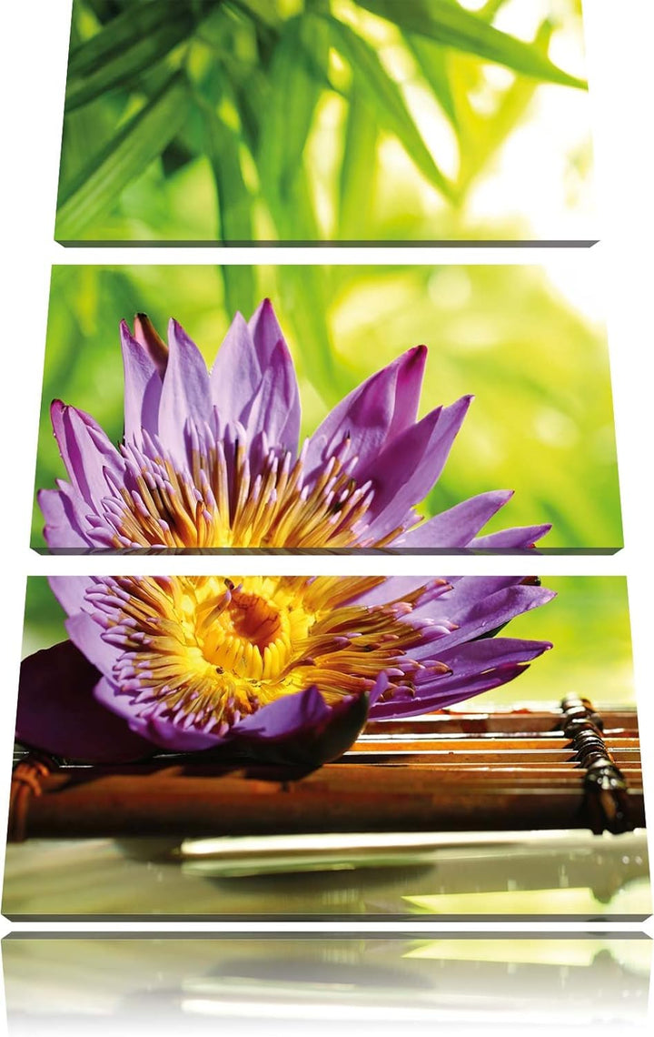 Pixxprint Seerose auf Bambus Wellness 3-Teiler Leinwandbild 120x80 Bild auf Leinwand