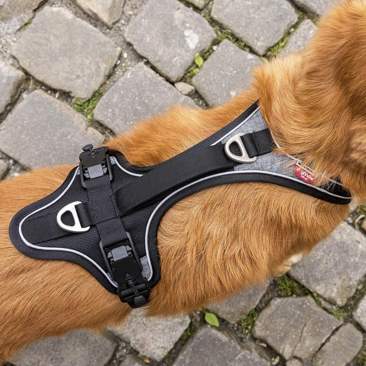 Magnetic Belka Comfort Harness Black XS XS Black, XS Black
