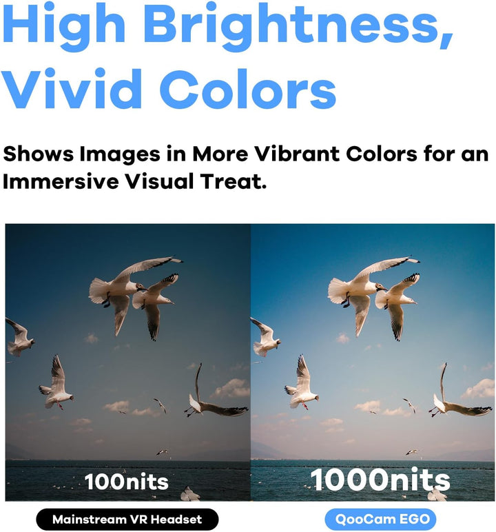 KanDao QooCam Ego - 3D Actionkamera, 8K Fotos, 4K Video, Dual Lens, 180 Grad Stereoskopisch, Content