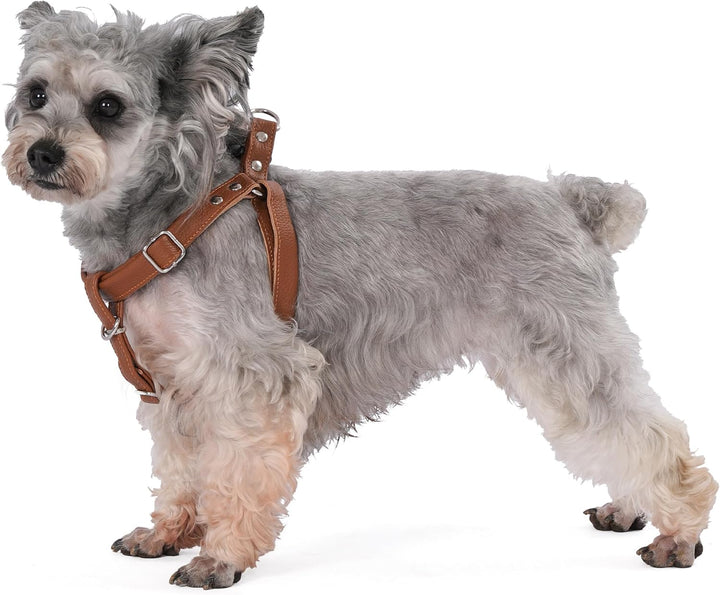 Hundegeschirr Leder Softgeschirr Verstellbare Brustgeschirre Norweger Haustier Ledergeschirr Weichem