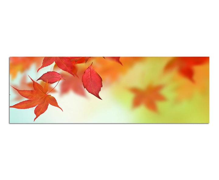 Paul Sinus Art Panoramabild auf Leinwand und Keilrahmen 150x50cm Herbst Blätter
