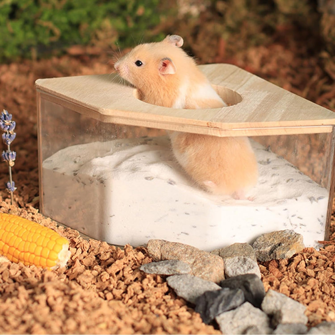 PLUSHCEWT Hamster Sandbad,Hamster Sandbad Container,Transparentes Hamster Sandbad mit Holzdeckel,Ham