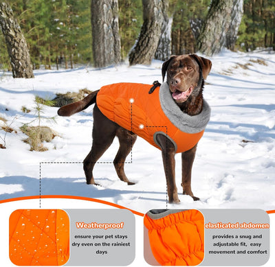 Hjumarayan Hundemantel für Kleine Hunde - Winter mit Geschirr Wintermantel Wasserdicht Mantel Gefütt