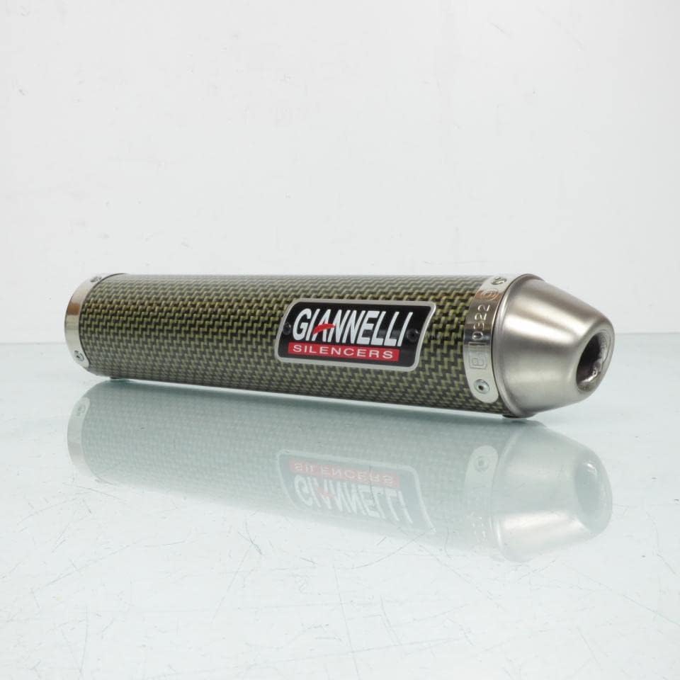 Auspuffschalldämpfer Giannelli für Motorrad Aprilia 125 RS Extrema 1995 bis 1998