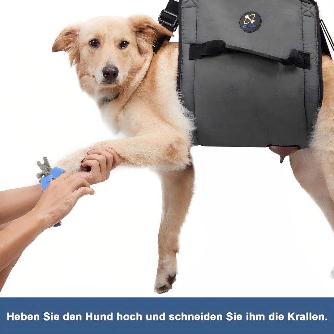 COODEO Hundetragegurt, Notfallrucksack Unterstützung für Rehabilitation Hundelift Geschirr, Hundeträ