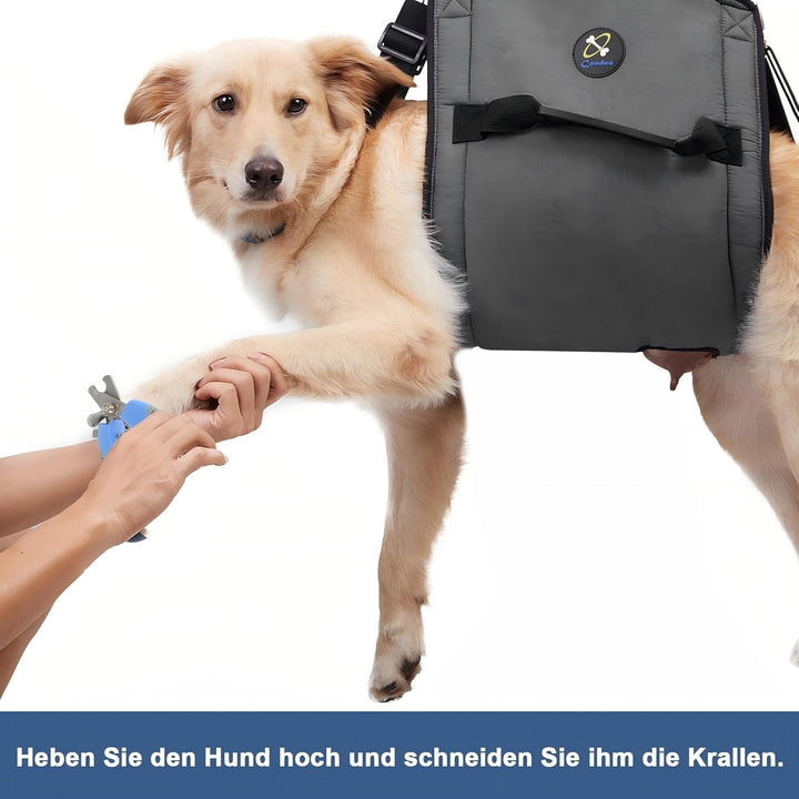 COODEO Hundetragegurt, Notfallrucksack Unterstützung für Rehabilitation Hundelift Geschirr, Hundeträ