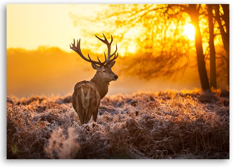 Feeby Vlies Leinwandbild Hirsch Wiese Reh Geweih 90x60 cm Druckbild Wandbild Wanddekoration Deko Wan