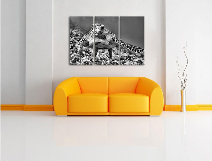 Pixxprint Schildkröte Korallenriff als Leinwandbild | Grösse: 3 Teilig (120x80) | Wandbild| Kunstdru