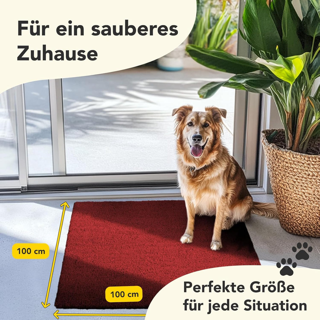 Floordirekt Fussmatte für Innen und Aussen, 100x100 cm Rot, Türmatte aus Kokos, Schmutzfangmatte für