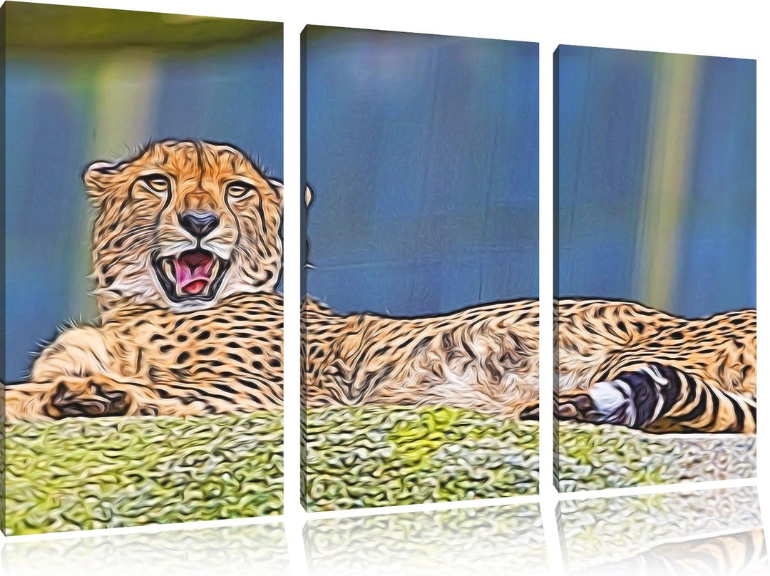 schlafender Gepard Spezial 3-Teiler Leinwandbild 120x80 Bild auf Leinwand, XXL riesige Bilder fertig