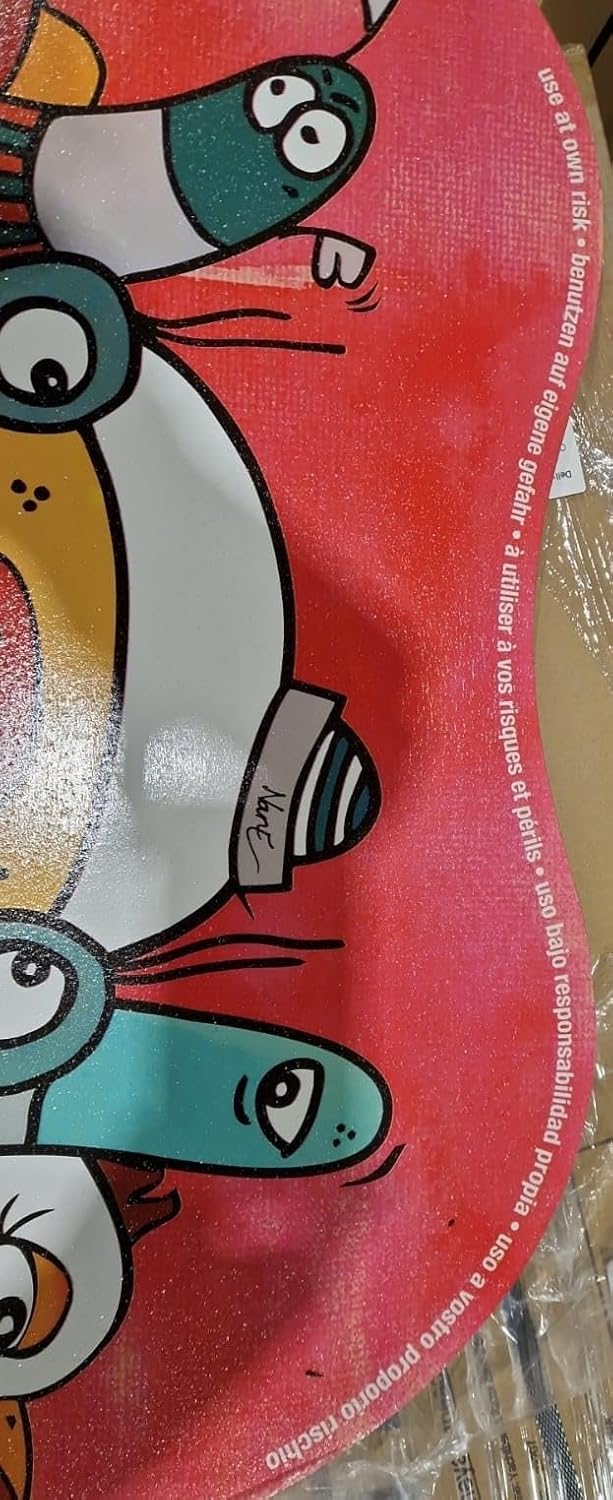 RollerBone 1.0 & Carpet - Balance Board, Balance Trainer- Trainigspackage inkl. Rolle & Carpet Einhe