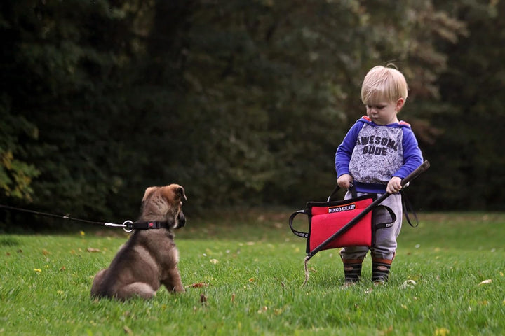 Dingo Gear Beisskissen Keilform Mini Weicher aus Baumwolle-Nylon Rot Welpen und Junge Hunde Ausbildu
