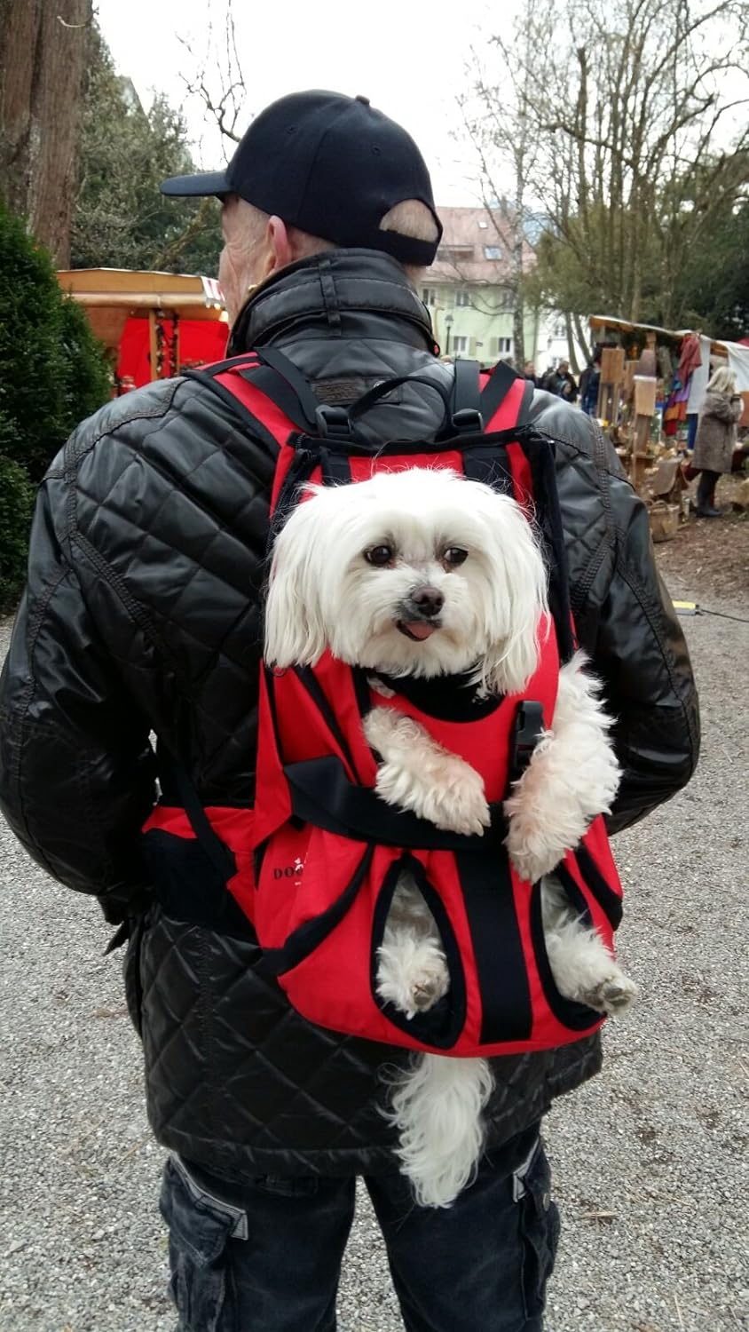 Small PREMIUM Hundetasche als Hunderucksack / Rucksack für Hunde / Hundetrage / Hundetragetasche / H