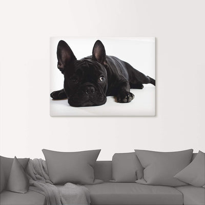 ARTland Leinwandbilder Wandbild Bild auf Leinwand 60x45 cm Tiere Haustiere Hund Fotografie Schwarz W