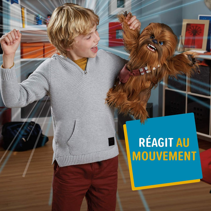 Hasbro E0584EU4 Star Wars - Solo Film Chewbacca, interaktive Plüschfigur