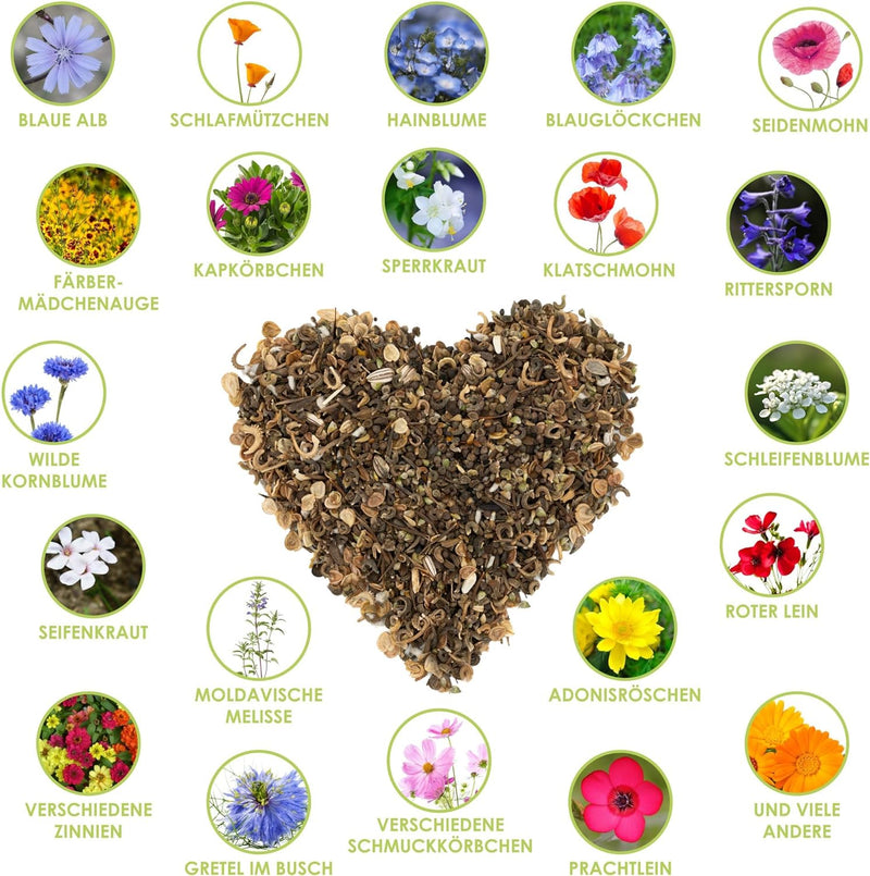 Gastgeschenke Hochzeit Blumensamen - Besonderes Hochzeitsgeschenk für Gäste als Give Away - Lasst un