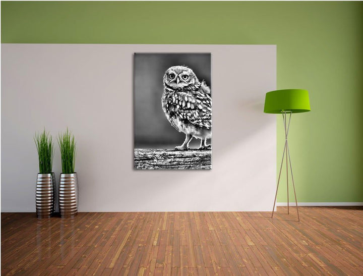 Pixxprint Kleine Eule auf Baum als Leinwandbild/Grösse: 100x70 cm/Wandbild/Kunstdruck/fertig bespann