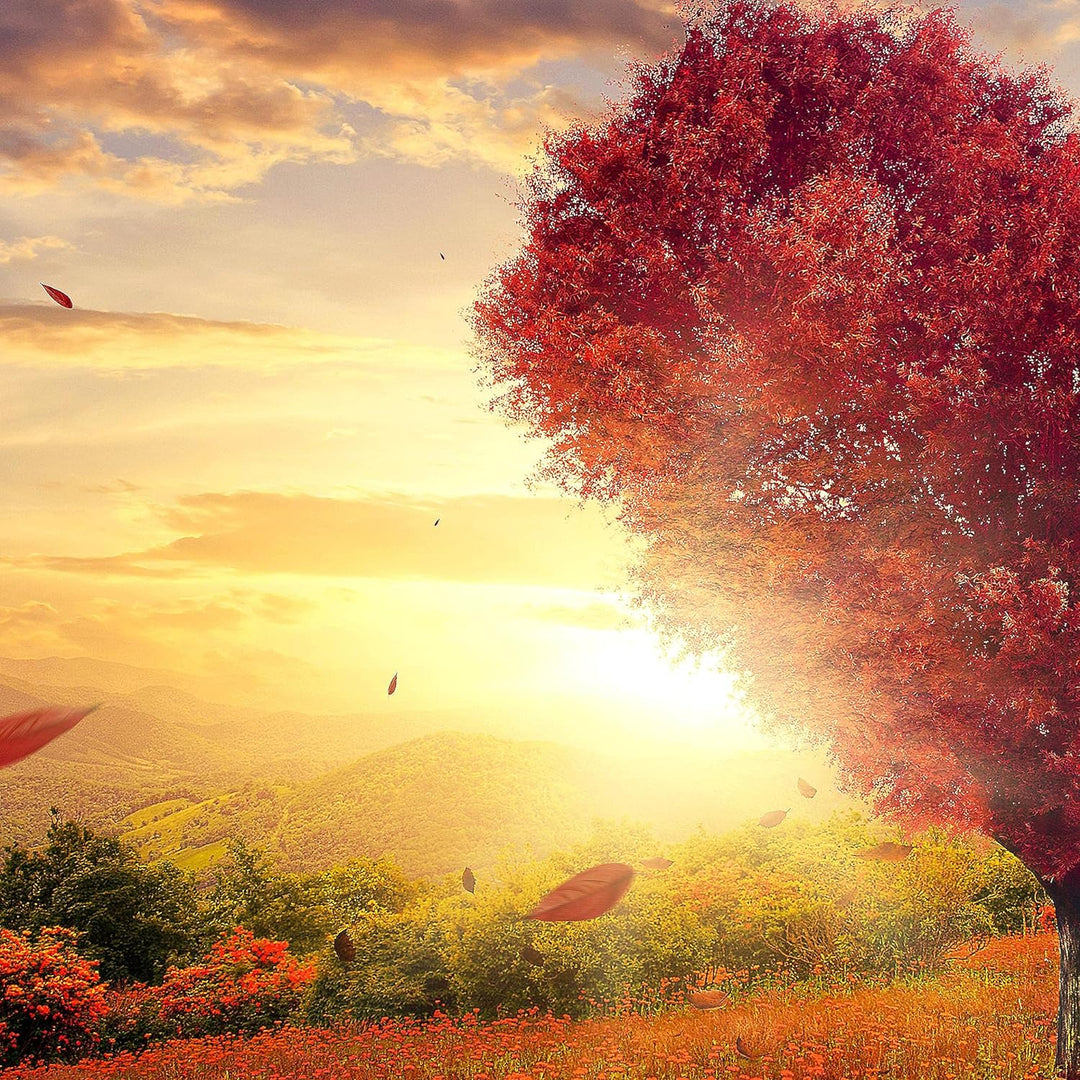 Runa Art Wandbilder Herbst Baum Herz 5 Teilig Bild auf Vlies Leinwand Deko Wohnzimmer Schlafzimmer N