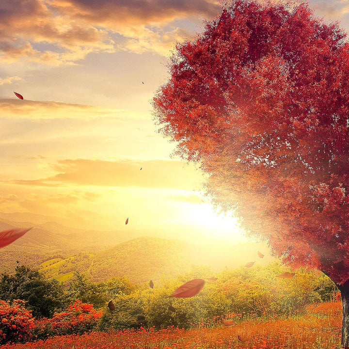 Runa Art Wandbilder Herbst Baum Herz 5 Teilig Bild auf Vlies Leinwand Deko Wohnzimmer Schlafzimmer N