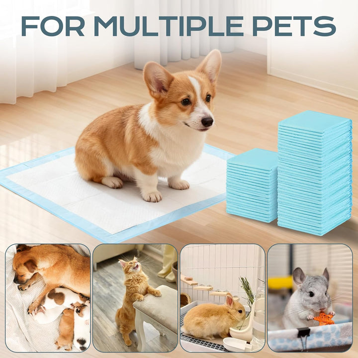 PIPI Matten für Hunde, 100 Stück Trainingspads, Wickelunterlagen Einweg 60X60cm, Einmalunterlagen, A